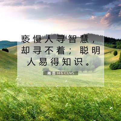 Picture 07 - 箴 言 14:6 CUVS - 亵 慢 人 寻 智 慧 ， 却 寻 不 着 ； - Bible Verse Picture