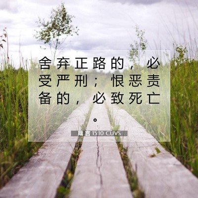 Picture 07 - 箴 言 15:10 CUVS - 舍 弃 正 路 的 ， 必 受 严 刑 ； 恨 - Bible Verse Picture