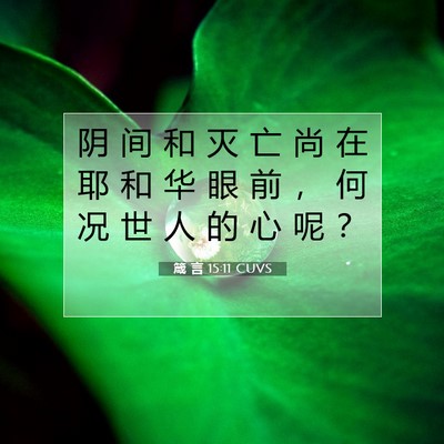 Picture 07 - 箴 言 15:11 CUVS - 阴 间 和 灭 亡 尚 在 耶 和 华 眼 前 - Bible Verse Picture