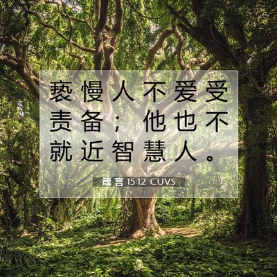 Picture 07 - 箴 言 15:12 CUVS - 亵 慢 人 不 爱 受 责 备 ； 他 也 不 - Bible Verse Picture