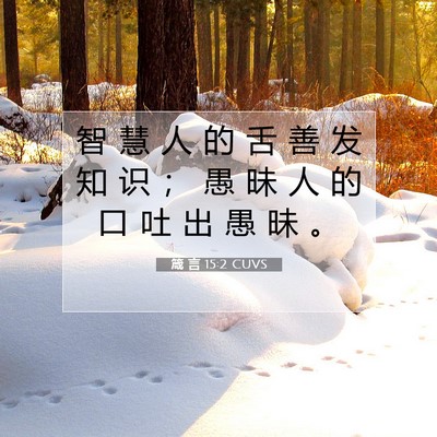 Picture 07 - 箴 言 15:2 CUVS - 智 慧 人 的 舌 善 发 知 识 ； 愚 昧 - Bible Verse Picture