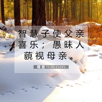 Picture 07 - 箴 言 15:20 CUVS - 智 慧 子 使 父 亲 喜 乐 ； 愚 昧 人 - Bible Verse Picture