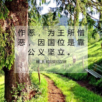 Picture 07 - 箴 言 16:12 CUVS - 作 恶 ， 为 王 所 憎 恶 ， 因 国 位 - Bible Verse Picture