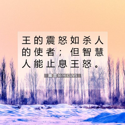 Picture 07 - 箴 言 16:14 CUVS - 王 的 震 怒 如 杀 人 的 使 者 ； 但 - Bible Verse Picture