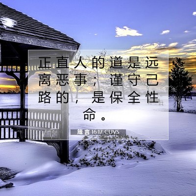 Picture 07 - 箴 言 16:17 CUVS - 正 直 人 的 道 是 远 离 恶 事 ； 谨 - Bible Verse Picture