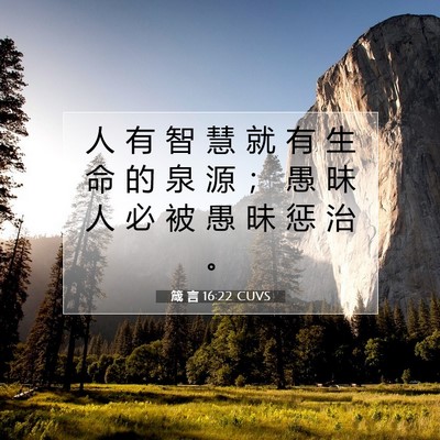 Picture 07 - 箴 言 16:22 CUVS - 人 有 智 慧 就 有 生 命 的 泉 源 ； - Bible Verse Picture