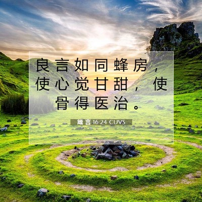 Picture 07 - 箴 言 16:24 CUVS - 良 言 如 同 蜂 房 ， 使 心 觉 甘 甜 - Bible Verse Picture