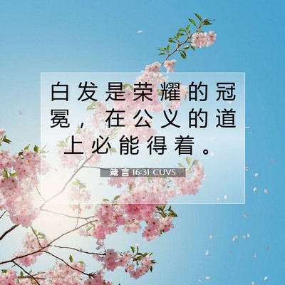 Picture 07 - 箴 言 16:31 CUVS - 白 发 是 荣 耀 的 冠 冕 ， 在 公 义 - Bible Verse Picture