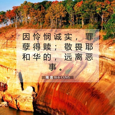 Picture 07 - 箴 言 16:6 CUVS - 因 怜 悯 诚 实 ， 罪 孽 得 赎 ； 敬 - Bible Verse Picture