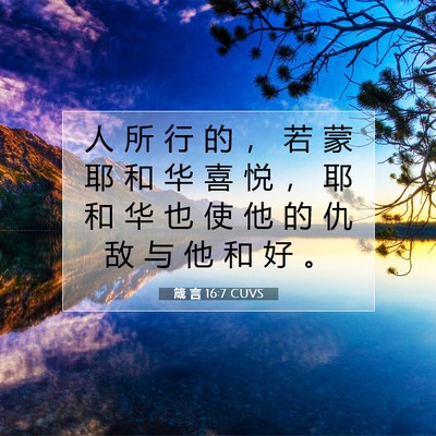 Picture 07 - 箴 言 16:7 CUVS - 人 所 行 的 ， 若 蒙 耶 和 华 喜 悦 - Bible Verse Picture
