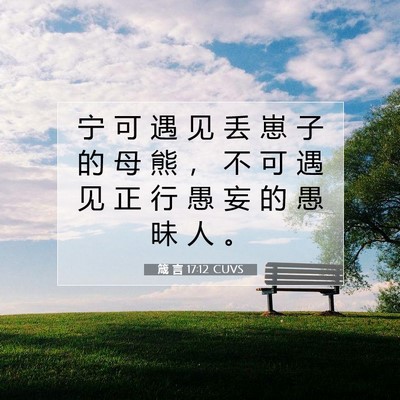 Picture 07 - 箴 言 17:12 CUVS - 宁 可 遇 见 丢 崽 子 的 母 熊 ， 不 - Bible Verse Picture