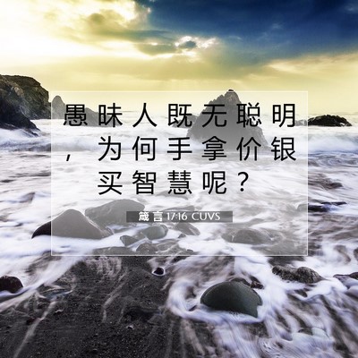 Picture 07 - 箴 言 17:16 CUVS - 愚 昧 人 既 无 聪 明 ， 为 何 手 拿 - Bible Verse Picture