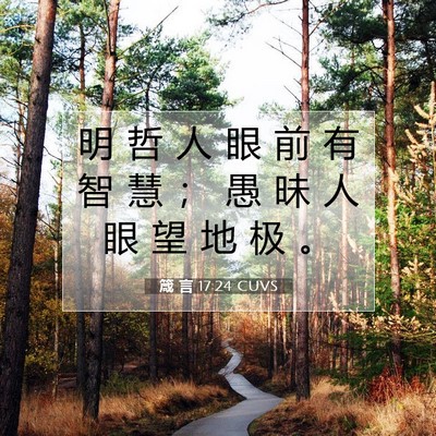 Picture 07 - 箴 言 17:24 CUVS - 明 哲 人 眼 前 有 智 慧 ； 愚 昧 人 - Bible Verse Picture