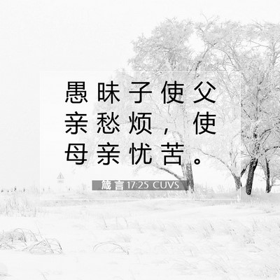 Picture 07 - 箴 言 17:25 CUVS - 愚 昧 子 使 父 亲 愁 烦 ， 使 母 亲 - Bible Verse Picture
