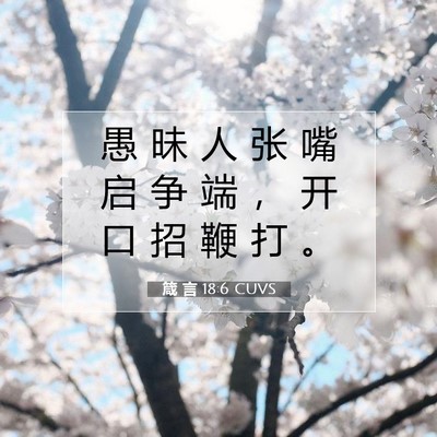 Picture 07 - 箴 言 18:6 CUVS - 愚 昧 人 张 嘴 启 争 端 ， 开 口 招 - Bible Verse Picture