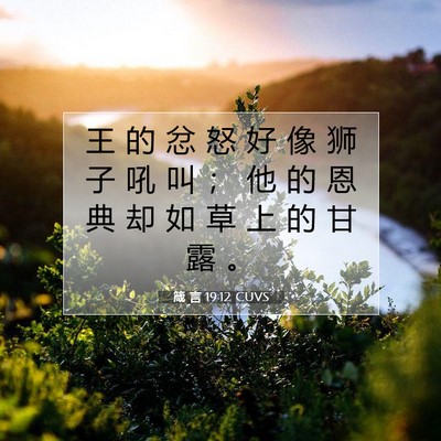 Picture 07 - 箴 言 19:12 CUVS - 王 的 忿 怒 好 像 狮 子 吼 叫 ； 他 - Bible Verse Picture