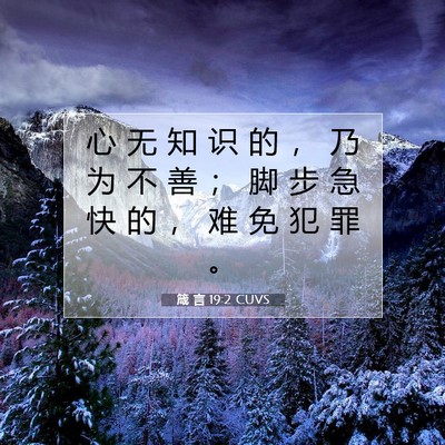 Picture 07 - 箴 言 19:2 CUVS - 心 无 知 识 的 ， 乃 为 不 善 ； 脚 - Bible Verse Picture
