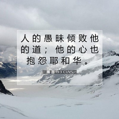 Picture 07 - 箴 言 19:3 CUVS - 人 的 愚 昧 倾 败 他 的 道 ； 他 的 - Bible Verse Picture