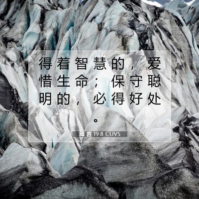 Picture 07 - 箴 言 19:8 CUVS - 得 着 智 慧 的 ， 爱 惜 生 命 ； 保 - Bible Verse Picture