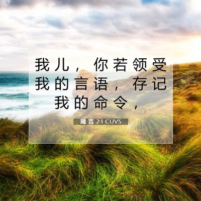 Picture 07 - 箴 言 2:1 CUVS - 我 儿 ， 你 若 领 受 我 的 言 语 ， - Bible Verse Picture