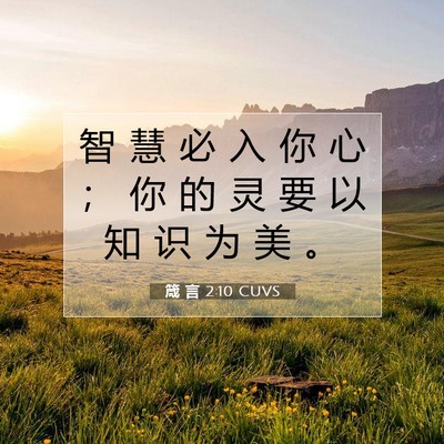 Picture 07 - 箴 言 2:10 CUVS - 智 慧 必 入 你 心 ； 你 的 灵 要 以 - Bible Verse Picture