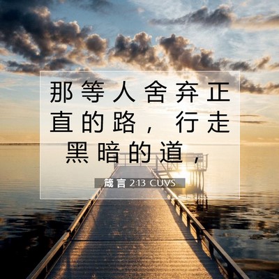 Picture 07 - 箴 言 2:13 CUVS - 那 等 人 舍 弃 正 直 的 路 ， 行 走 - Bible Verse Picture
