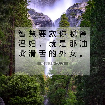 Picture 07 - 箴 言 2:16 CUVS - 智 慧 要 救 你 脱 离 淫 妇 ， 就 是 - Bible Verse Picture