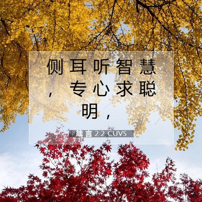 Picture 07 - 箴 言 2:2 CUVS - 侧 耳 听 智 慧 ， 专 心 求 聪 明 - Bible Verse Picture