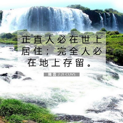 Picture 07 - 箴 言 2:21 CUVS - 正 直 人 必 在 世 上 居 住 ； 完 全 - Bible Verse Picture