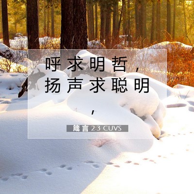 Picture 07 - 箴 言 2:3 CUVS - 呼 求 明 哲 ， 扬 声 求 聪 明 - Bible Verse Picture