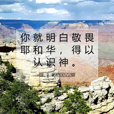 Picture 07 - 箴 言 2:5 CUVS - 你 就 明 白 敬 畏 耶 和 华 ， 得 以 - Bible Verse Picture