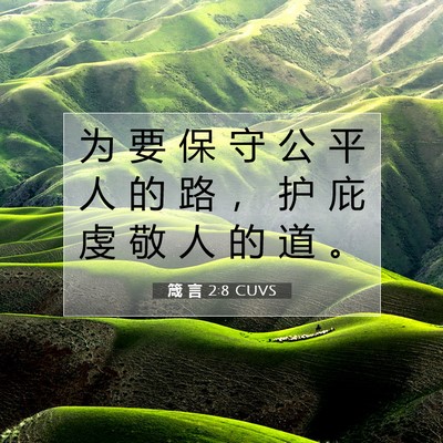 Picture 07 - 箴 言 2:8 CUVS - 为 要 保 守 公 平 人 的 路 ， 护 庇 - Bible Verse Picture