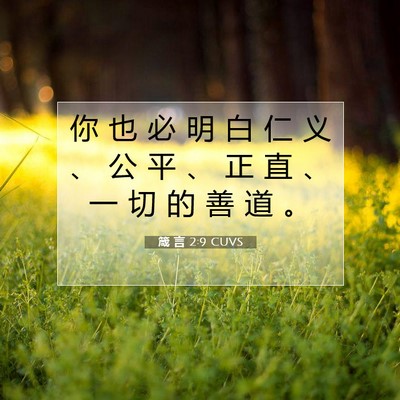 Picture 07 - 箴 言 2:9 CUVS - 你 也 必 明 白 仁 义 、 公 平 、 正 - Bible Verse Picture