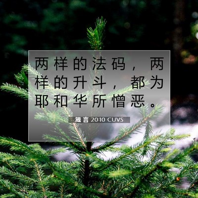 Picture 07 - 箴 言 20:10 CUVS - 两 样 的 法 码 ， 两 样 的 升 斗 ， - Bible Verse Picture