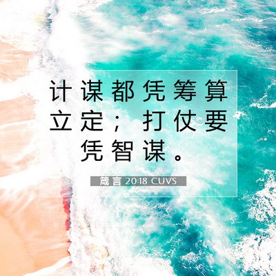 Picture 07 - 箴 言 20:18 CUVS - 计 谋 都 凭 筹 算 立 定 ； 打 仗 要 - Bible Verse Picture