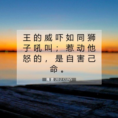 Picture 07 - 箴 言 20:2 CUVS - 王 的 威 吓 如 同 狮 子 吼 叫 ； 惹 - Bible Verse Picture
