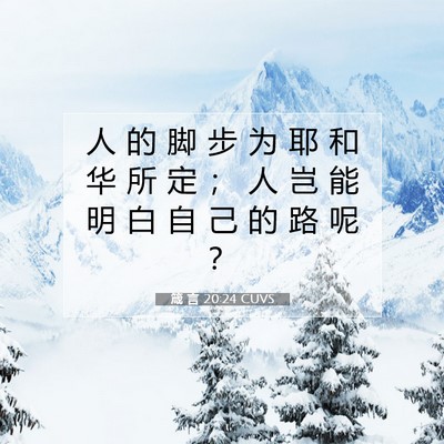 Picture 07 - 箴 言 20:24 CUVS - 人 的 脚 步 为 耶 和 华 所 定 ； 人 - Bible Verse Picture