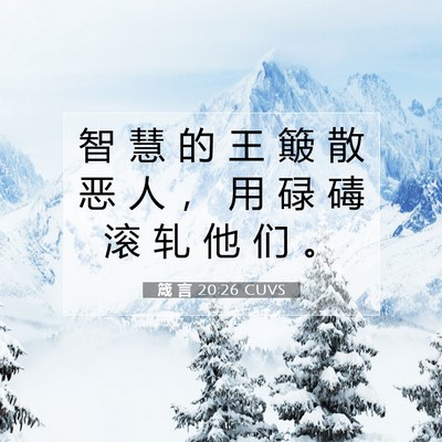 Picture 07 - 箴 言 20:26 CUVS - 智 慧 的 王 簸 散 恶 人 ， 用 碌 碡 - Bible Verse Picture