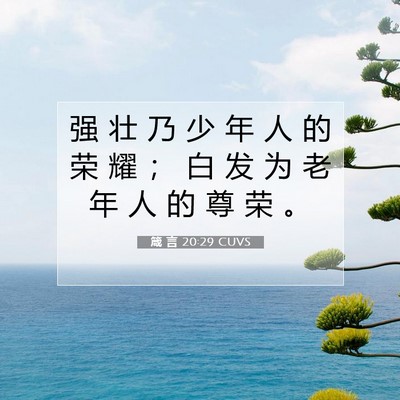 Picture 07 - 箴 言 20:29 CUVS - 强 壮 乃 少 年 人 的 荣 耀 ； 白 发 - Bible Verse Picture