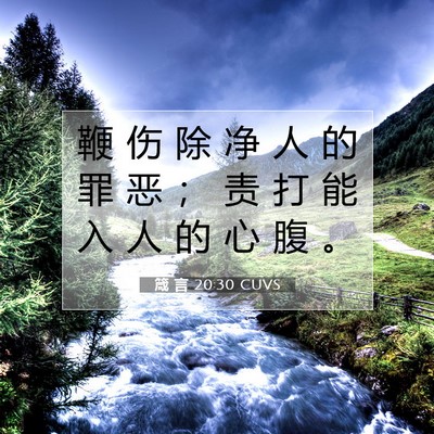 Picture 07 - 箴 言 20:30 CUVS - 鞭 伤 除 净 人 的 罪 恶 ； 责 打 能 - Bible Verse Picture