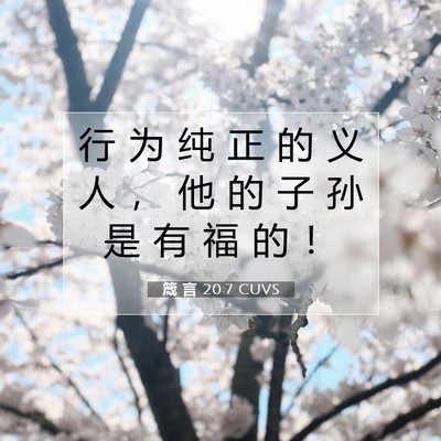 Picture 07 - 箴 言 20:7 CUVS - 行 为 纯 正 的 义 人 ， 他 的 子 孙 - Bible Verse Picture