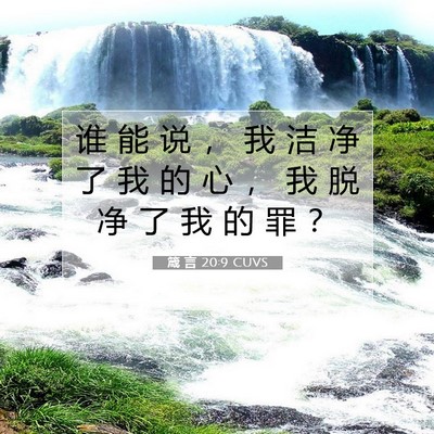 Picture 07 - 箴 言 20:9 CUVS - 谁 能 说 ， 我 洁 净 了 我 的 心 ， - Bible Verse Picture
