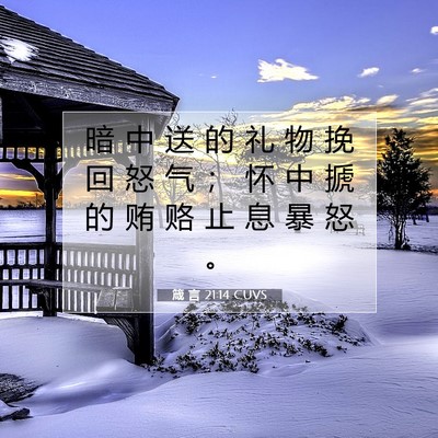 Picture 07 - 箴 言 21:14 CUVS - 暗 中 送 的 礼 物 挽 回 怒 气 ； 怀 - Bible Verse Picture