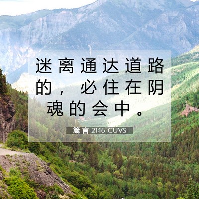 Picture 07 - 箴 言 21:16 CUVS - 迷 离 通 达 道 路 的 ， 必 住 在 阴 - Bible Verse Picture