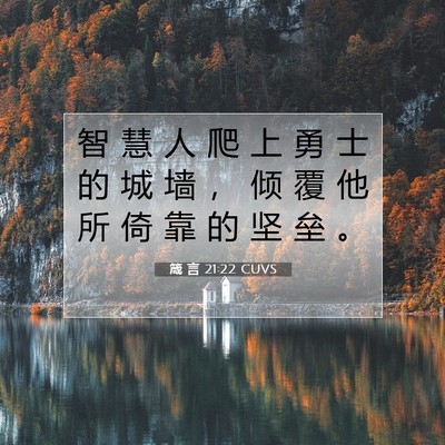 Picture 07 - 箴 言 21:22 CUVS - 智 慧 人 爬 上 勇 士 的 城 墙 ， 倾 - Bible Verse Picture