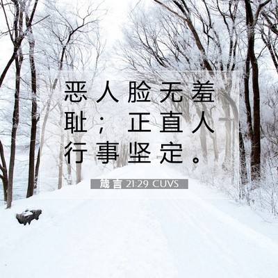 Picture 07 - 箴 言 21:29 CUVS - 恶 人 脸 无 羞 耻 ； 正 直 人 行 事 - Bible Verse Picture