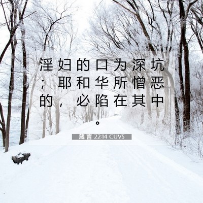 Picture 07 - 箴 言 22:14 CUVS - 淫 妇 的 口 为 深 坑 ； 耶 和 华 所 - Bible Verse Picture