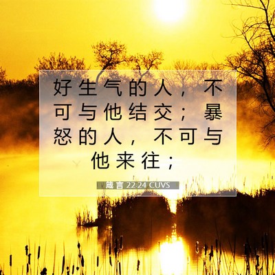 Picture 07 - 箴 言 22:24 CUVS - 好 生 气 的 人 ， 不 可 与 他 结 交 - Bible Verse Picture