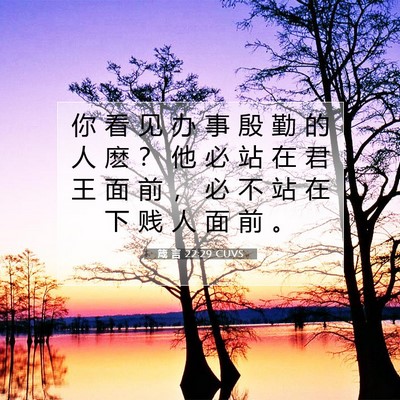 Picture 07 - 箴 言 22:29 CUVS - 你 看 见 办 事 殷 勤 的 人 麽 ？ 他 - Bible Verse Picture
