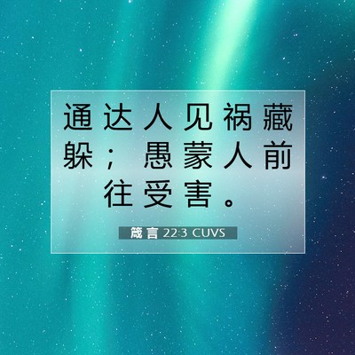 Picture 07 - 箴 言 22:3 CUVS - 通 达 人 见 祸 藏 躲 ； 愚 蒙 人 前 - Bible Verse Picture